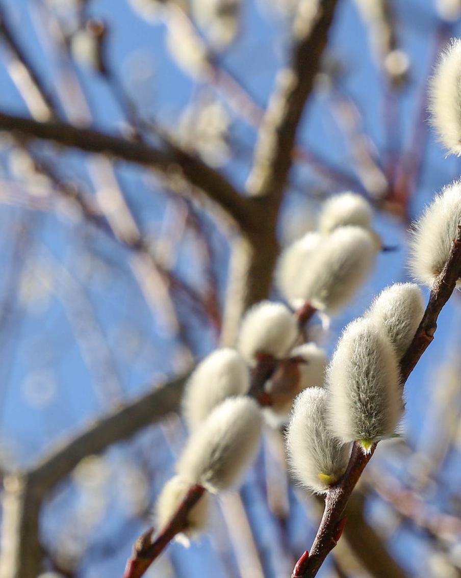 В Москву пришло тепло. Температура сегодня может побить рекорд 75-летней давности