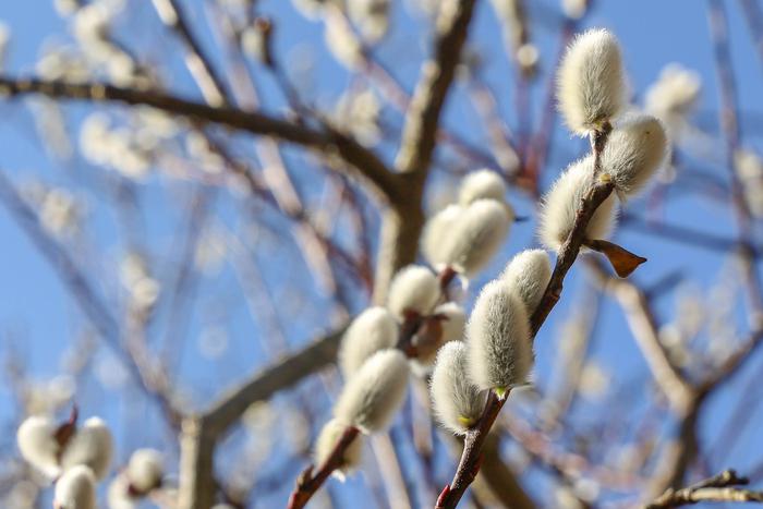 В Москву пришло тепло. Температура сегодня может побить рекорд 75-летней давности