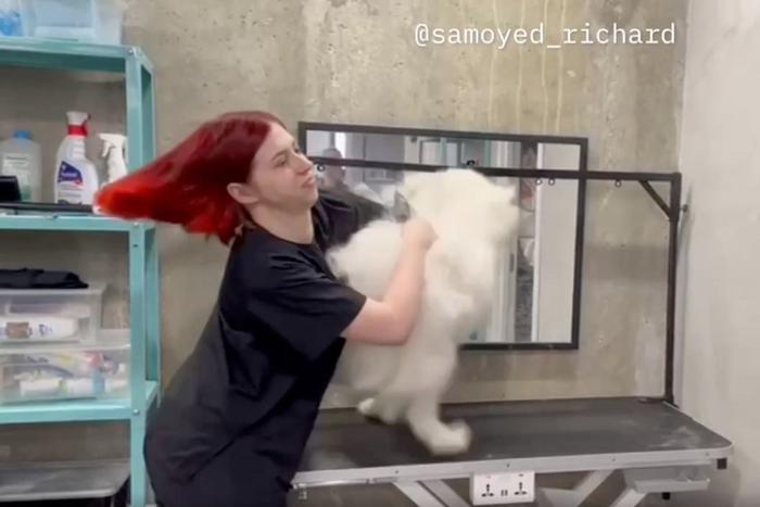 Разве можно так с собакой обращаться? Люди готовы порвать грумера