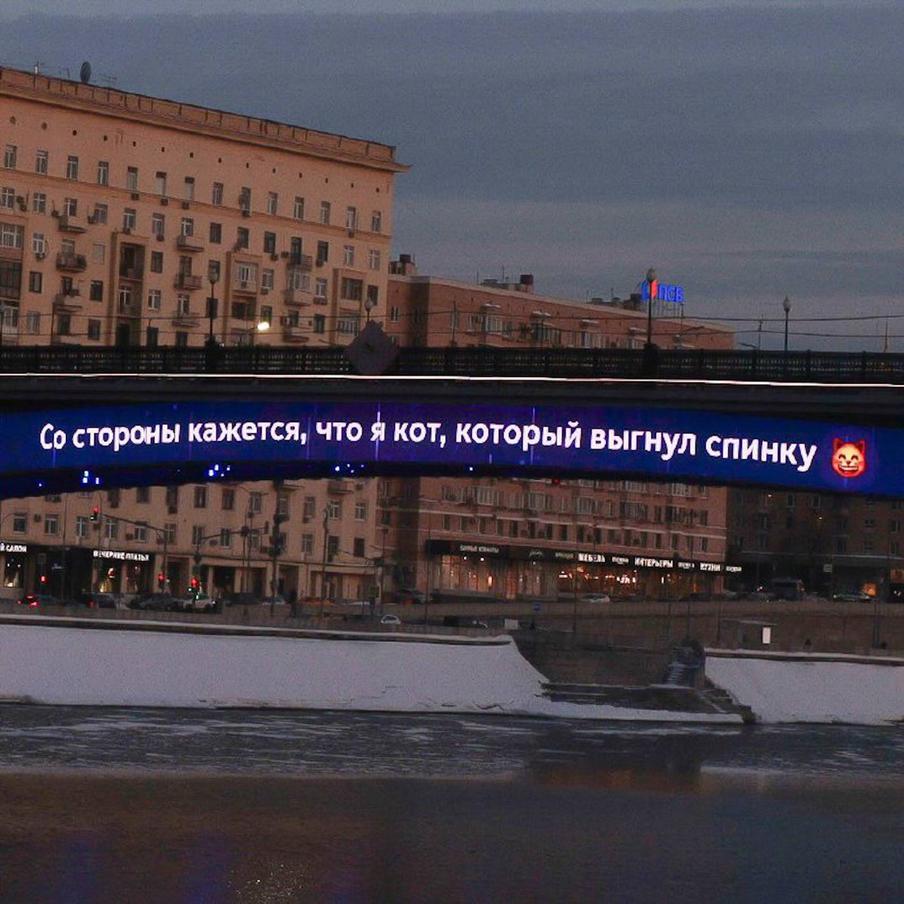 А вы чесали этому котику спинку?