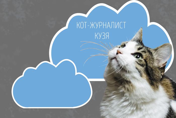 Наши коты-журналисты рассказывают о погоде на выходные: в праздники будет пасмурно и не по-весеннему прохладно