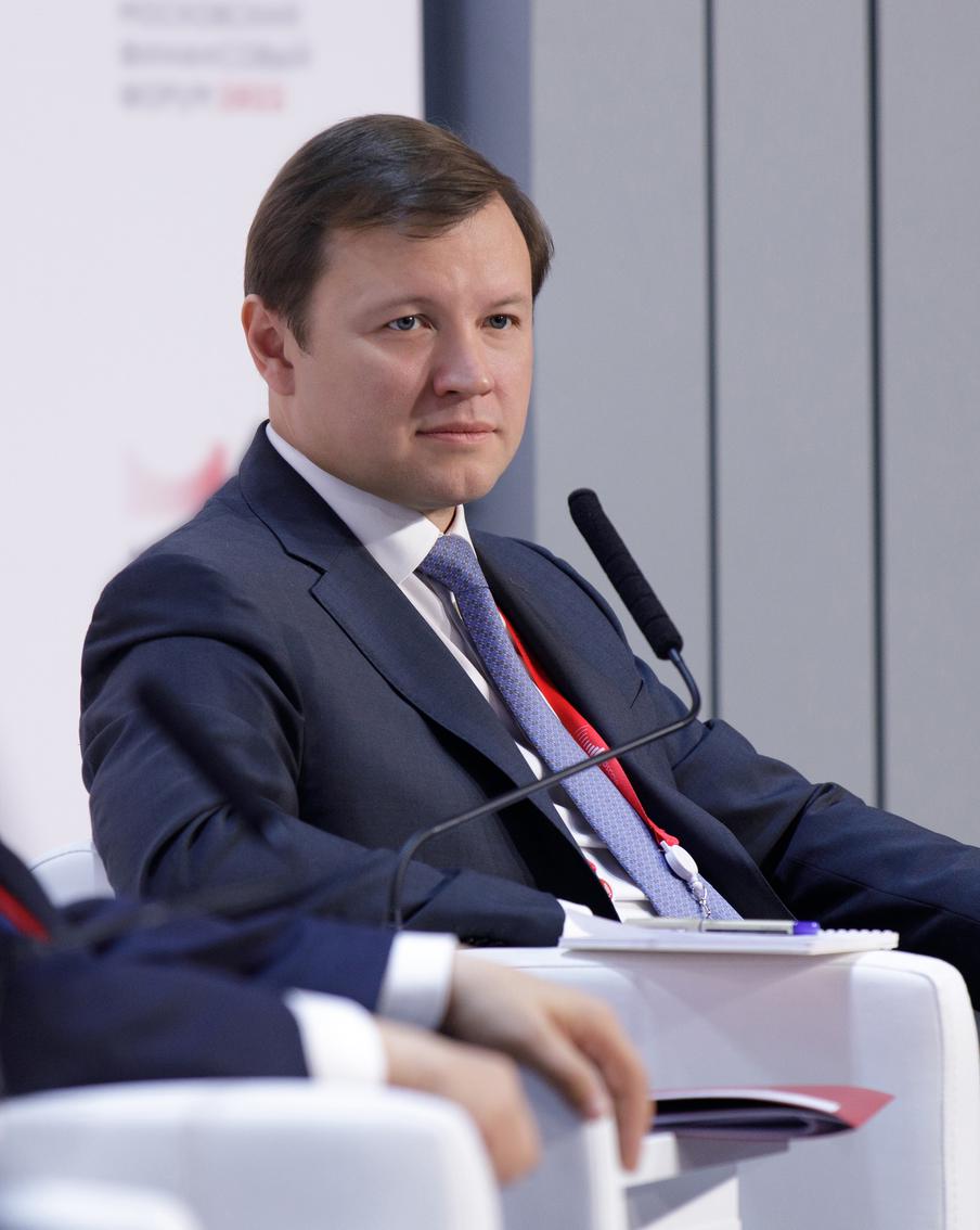 Владимир Ефимов: горожане приобрели на онлайн-аукционах 85 участков для строительства частных жилых домов