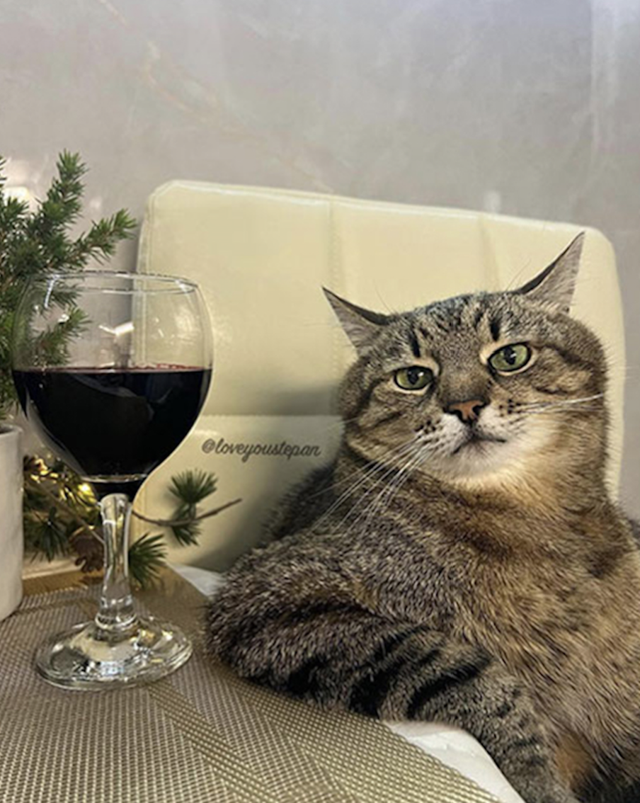 Животные в жизни и на портрете.