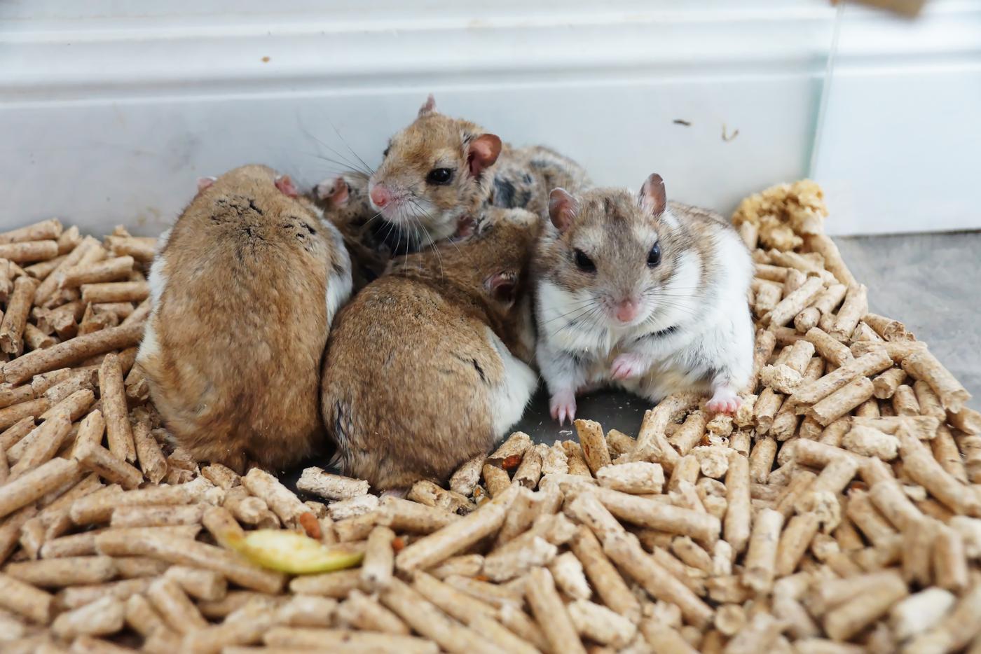 А знаете, кто это?