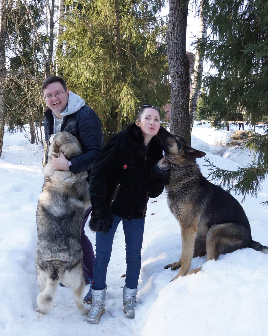 Маламут Ананда и немецкая овчарка Мухтар были нам невероятно рады!