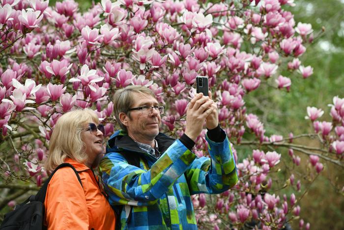 Туристы на майские праздники едут в Сочи: в списке их приоритетов также Петербург