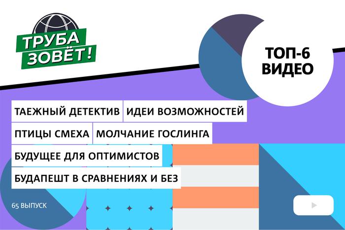 Почему крики "застревают" в таёжных лесах, как технологии помогут перед лицом катастрофы и город, который шепчет на ухо всякие глупости