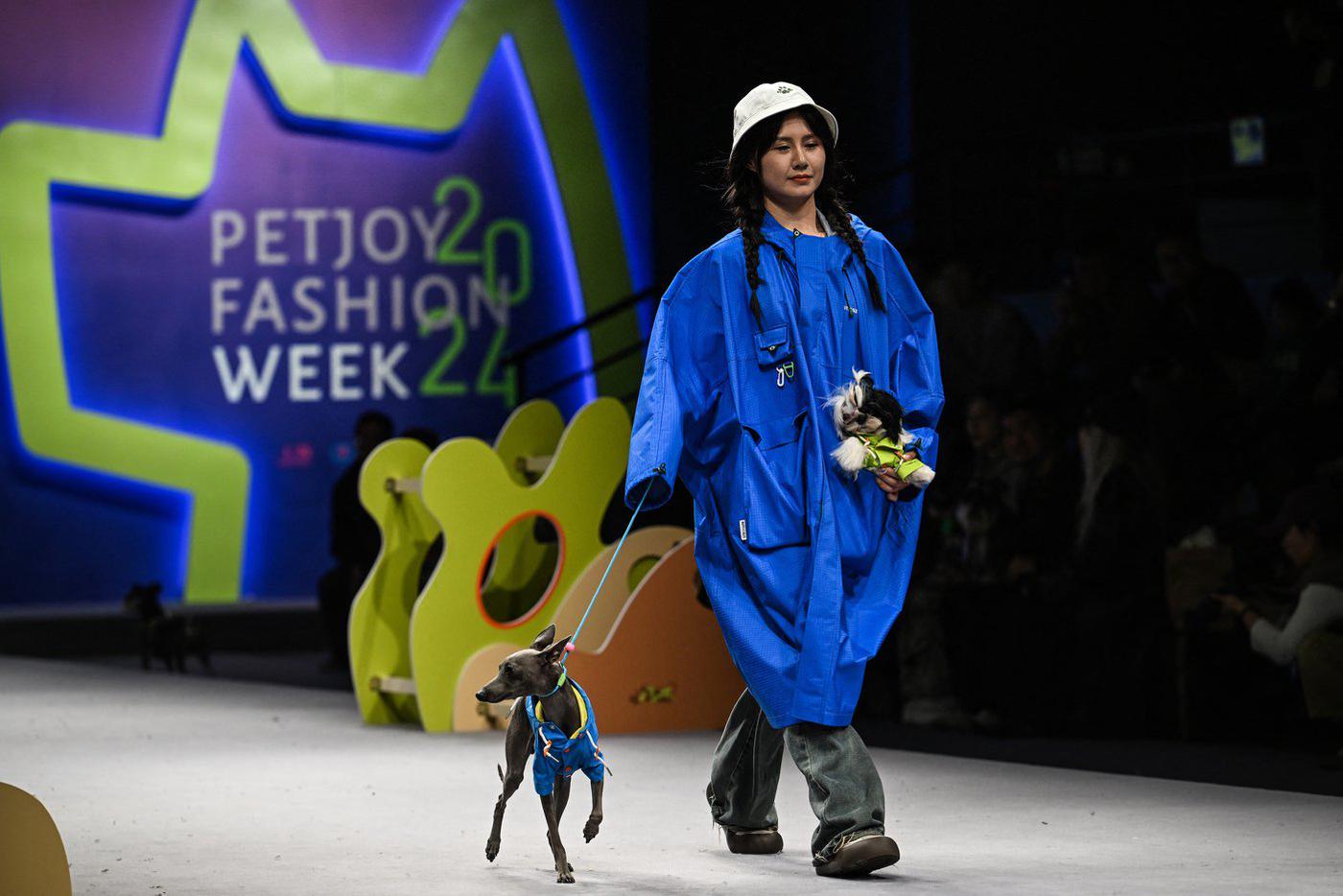 На показе можно было не только питомцами любоваться.