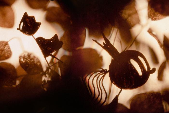 "Мы все мечтаем о красивой любви". На фестивале в Суздале больше всего призов получил мультик о поиске принца