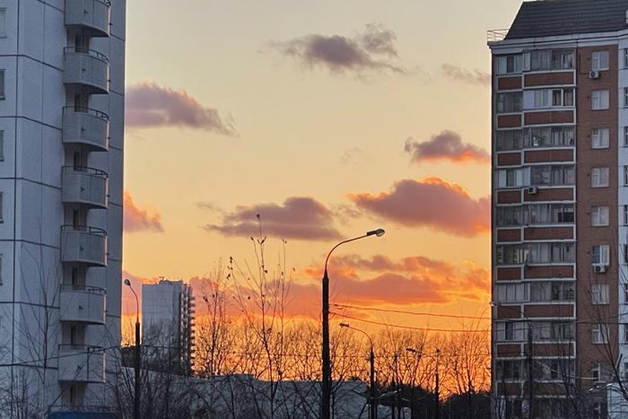 Москвичам пообещали майское тепло на следующей неделе