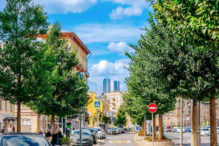 Согласно городскому плану озеленения, весной и осенью на улицах Москвы планируется посадить более 350 тысяч деревьев и кустарников