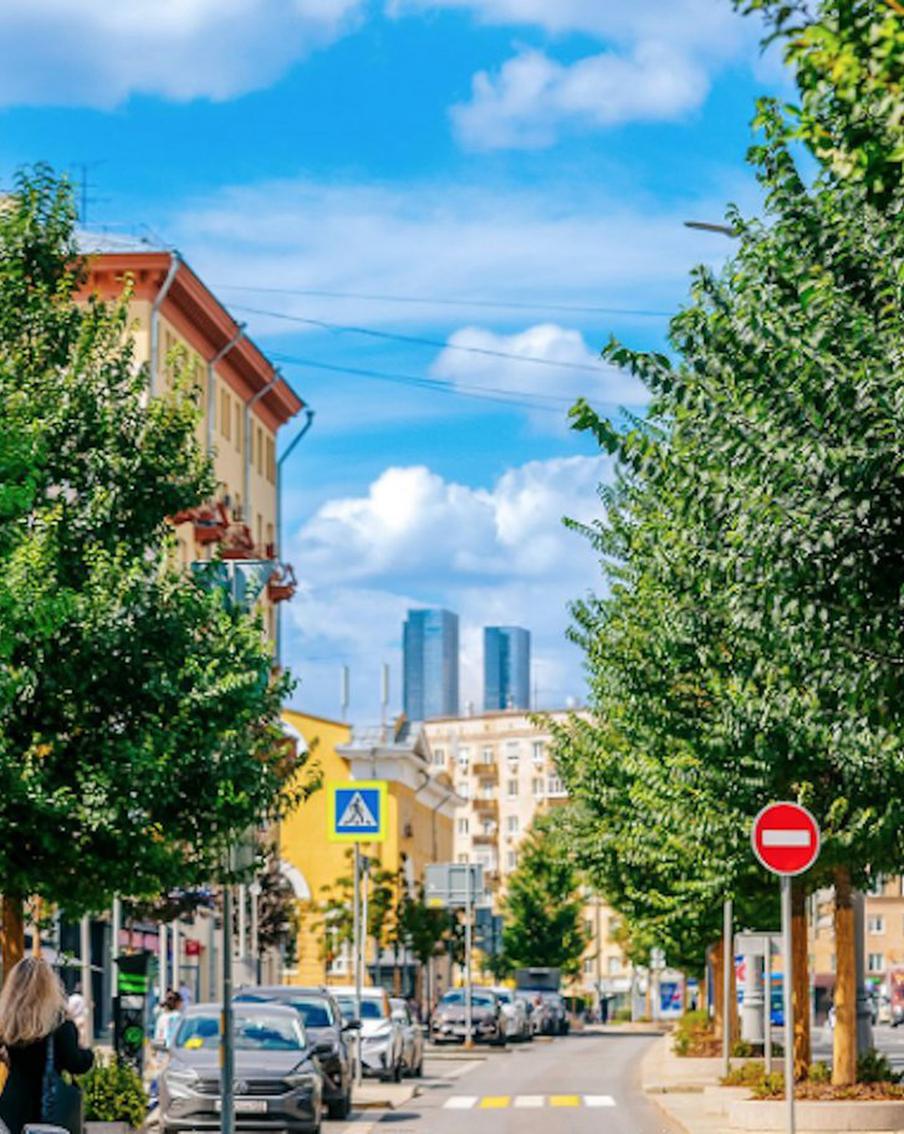 Согласно городскому плану озеленения, весной и осенью на улицах Москвы планируется посадить более 350 тысяч деревьев и кустарников