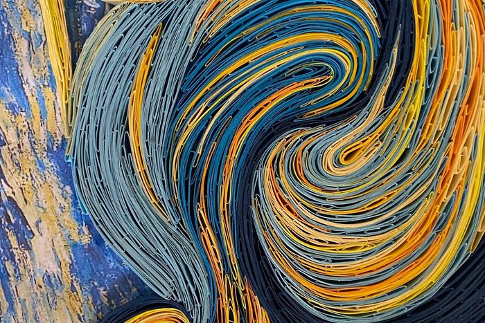 Гекконы и Ван Гог: как новый вид индийских ящерок назвали в честь голландского живописца