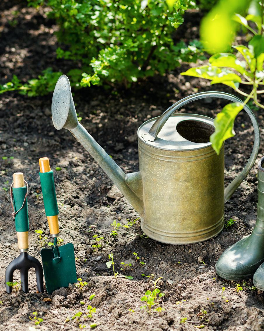 Какие дела в саду и огороде необходимо сделать в апреле