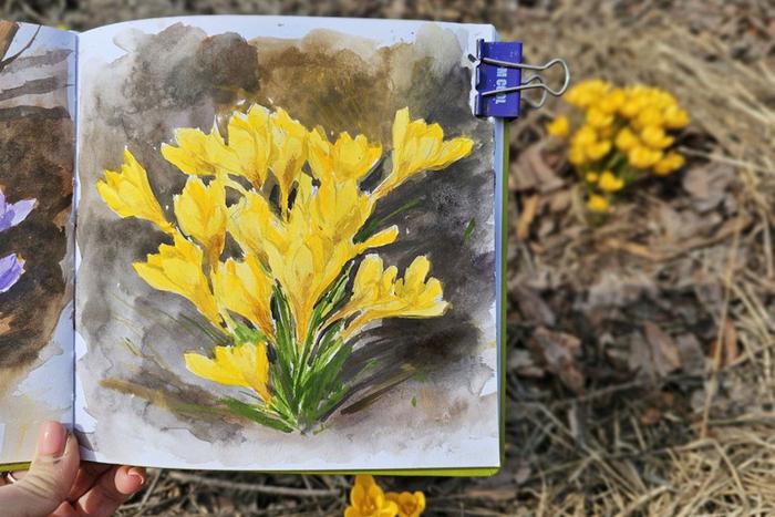 Яркие первоцветы наполнили весенний дневник впечатлений
