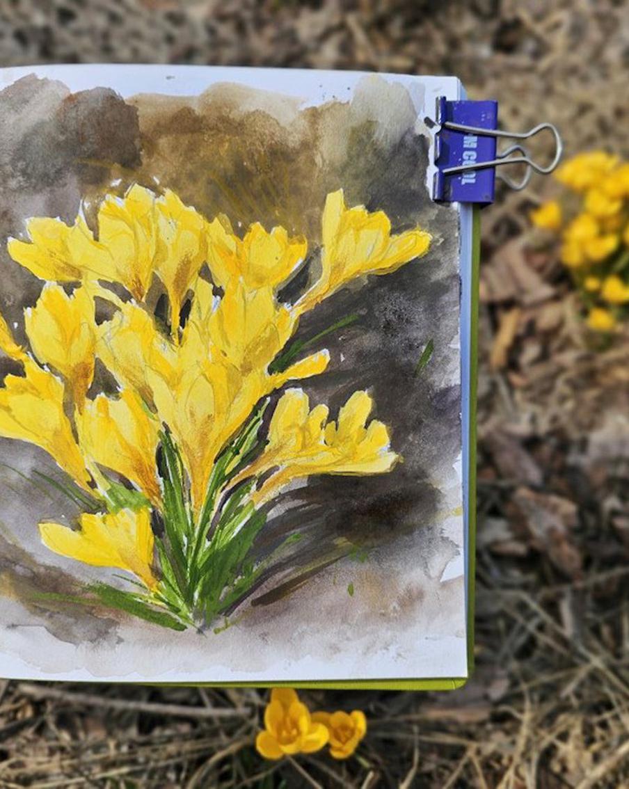 Яркие первоцветы наполнили весенний дневник впечатлений