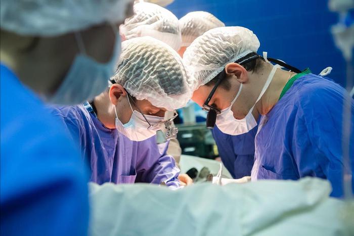 Кардиохирурги из Сеченовского университета разработали первый в мире имплант, подходящий всем пациентам