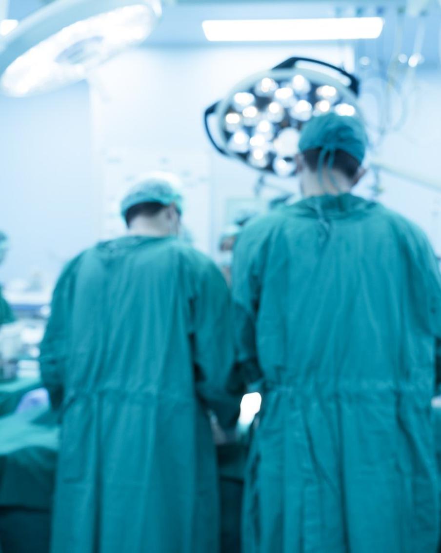 Столичный эксперт рассказала о перспективах первой успешной пересадки свиной почки человеку