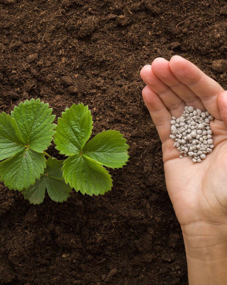 Поставки российских удобрений в США достигли максимума за три квартала, приблизившись к значениям июня 2023 года