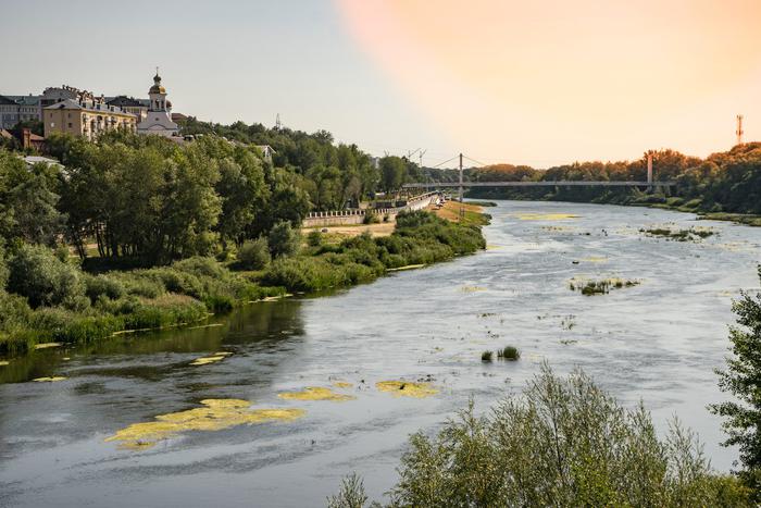 Оренбург будет частично эвакуирован из-за угрозы затопления некоторых районов города в связи с паводком