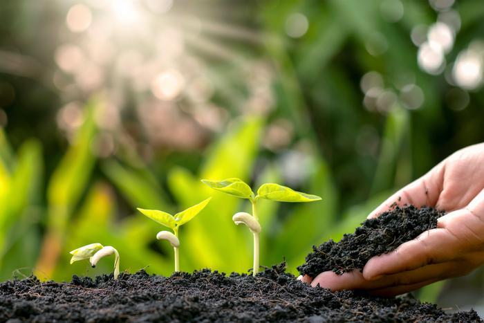 Весеннее удобрение сада и огорода: порядок действий и виды подкормок