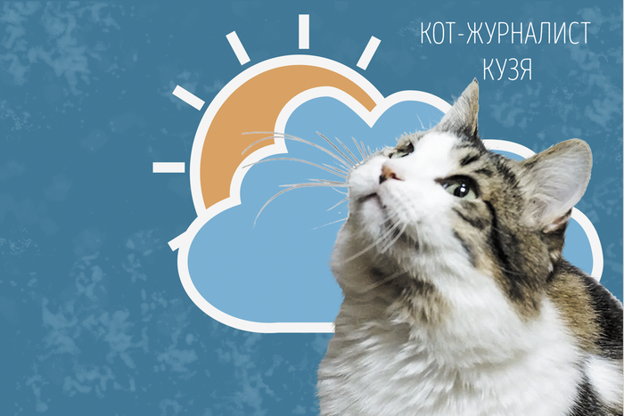 Кот Кузя сообщает, какая будет погода в Москве в выходные