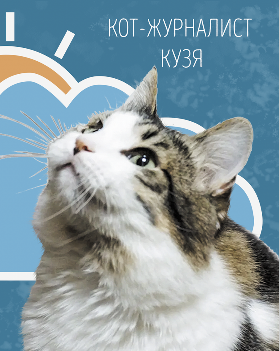 Кот Кузя сообщает, какая будет погода в Москве в выходные