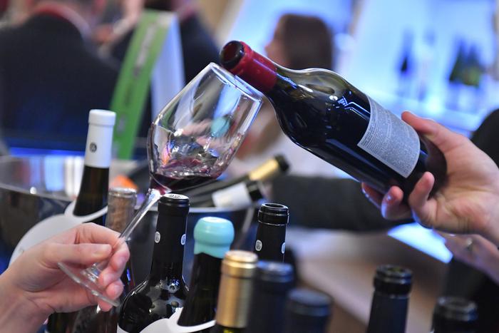 Россию с мая ждёт подорожание вина в магазинах. Рост цен может составить от 7% до 35%