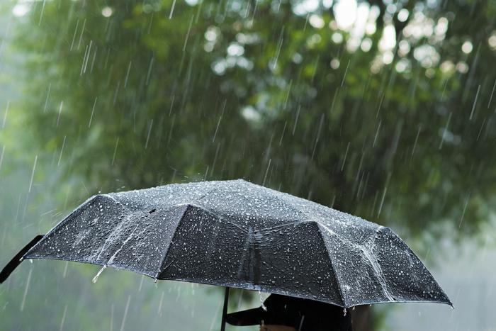 Москвичам пообещали дождливую неделю и мокрый снег, а также предупредили о резких перепадах давления в городе