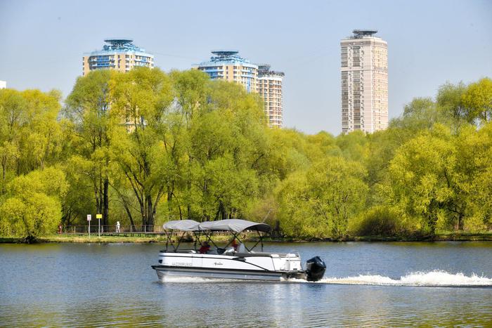 К летнему сезону в "Серебряном бору" проведут локальное благоустройство