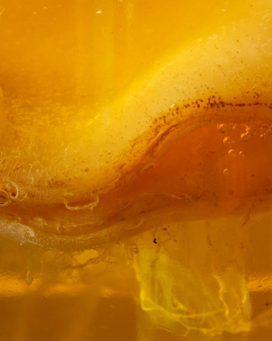 Сам ты комбуча: как пробиотики в чайном грибе способствуют похудению