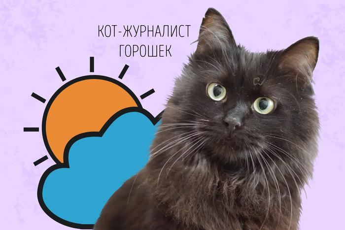 Горошек заверяет: похолодание пришло ненадолго