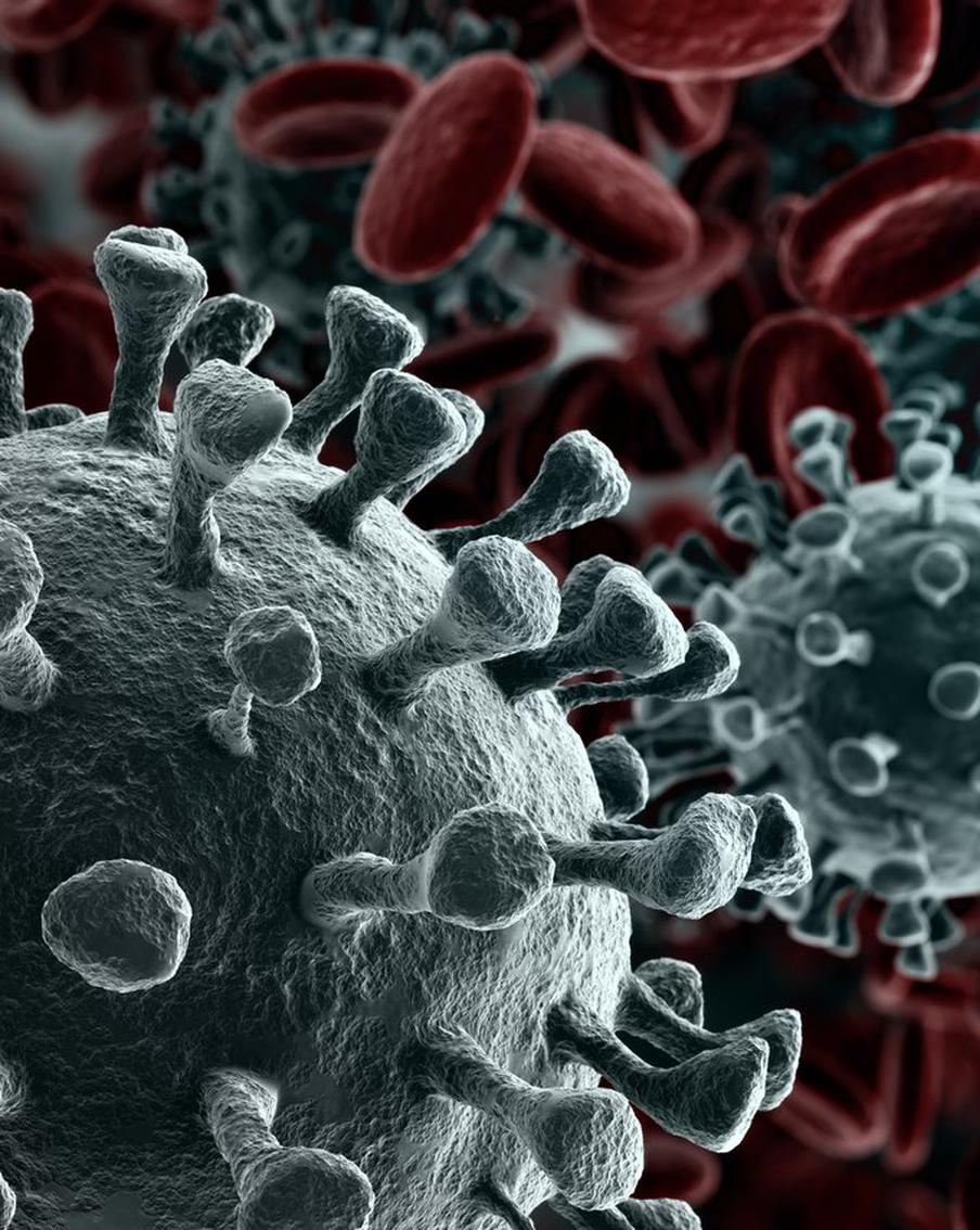 В Нидерландах умер пациент, перенёсший 50 мутаций COVID