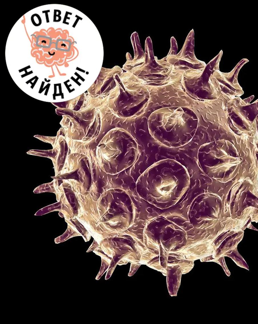 Опоясывающий герпес и его последствия. Ремень, который больно бьёт