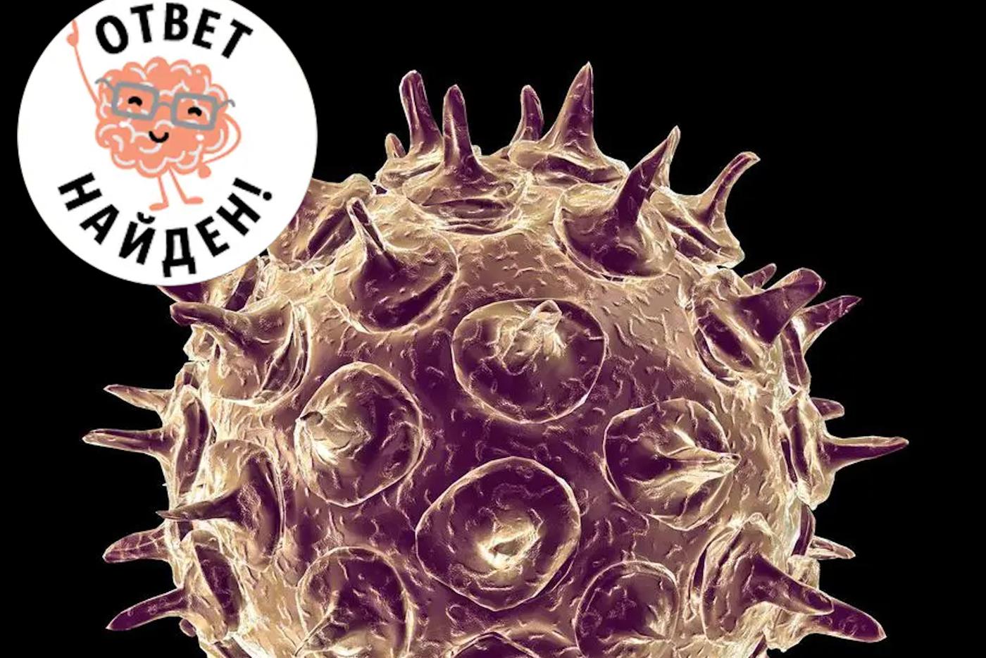 Опоясывающий герпес и его последствия. Ремень, который больно бьёт