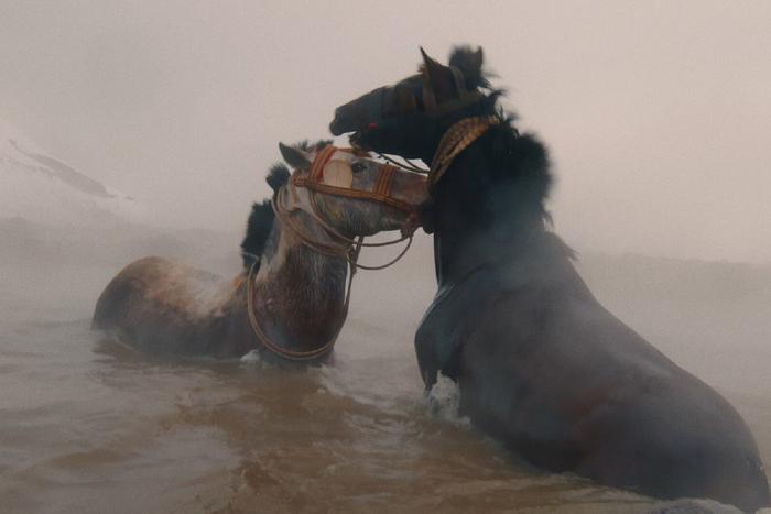 Достоевский и Тарковский вдохновили автора турецкой картины "Меж псом и волком"