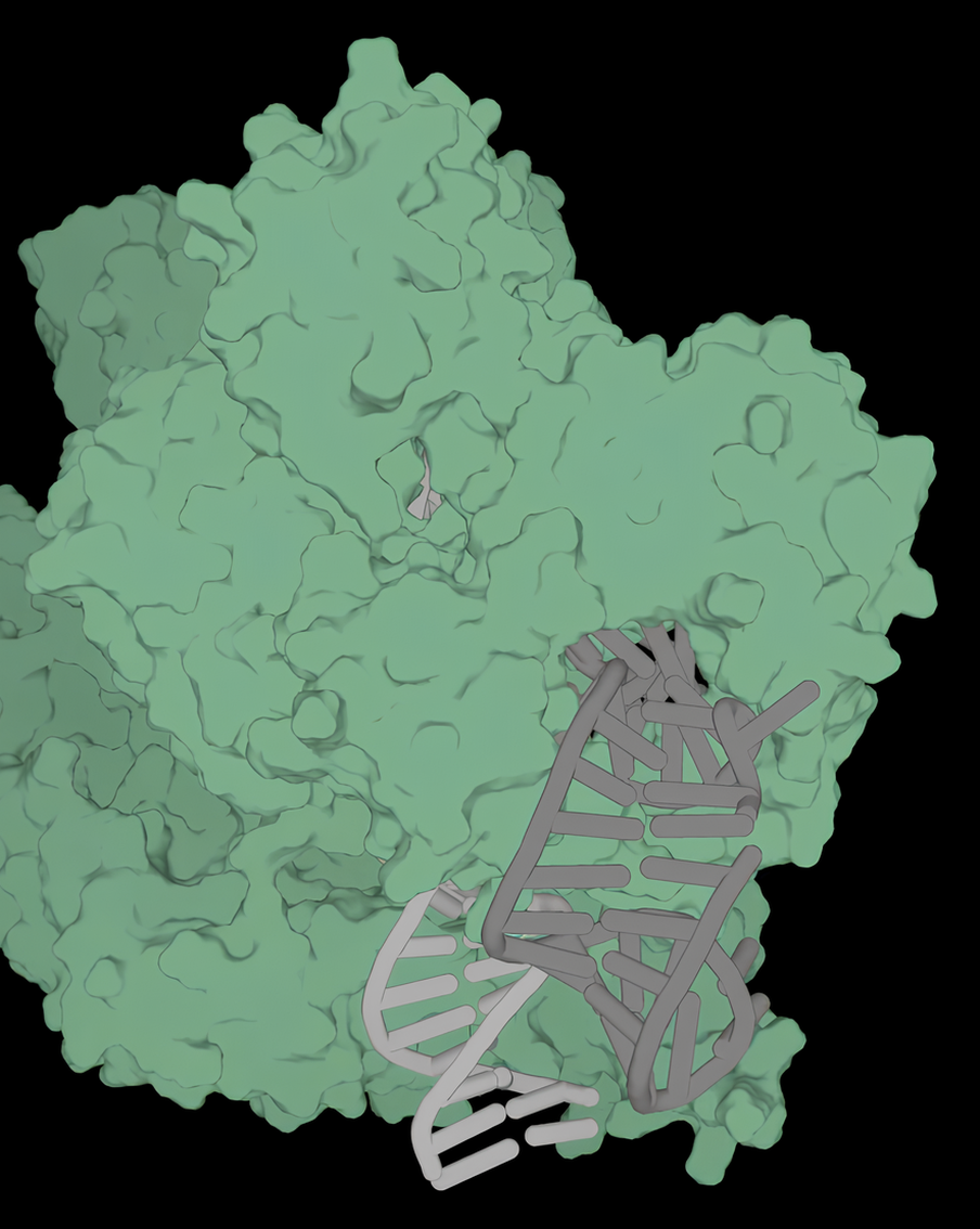 В США придумали, как редактировать гены с помощью ИИ. Чем это грозит человечеству?