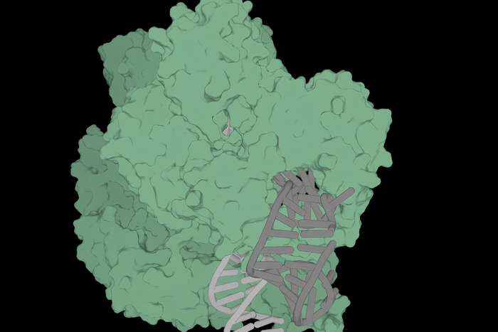 В США придумали, как редактировать гены с помощью ИИ. Чем это грозит человечеству?