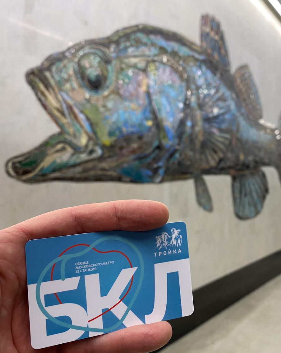 В Департаменте транспорта Москвы рассказали, как удобнее пополнять "Тройку"