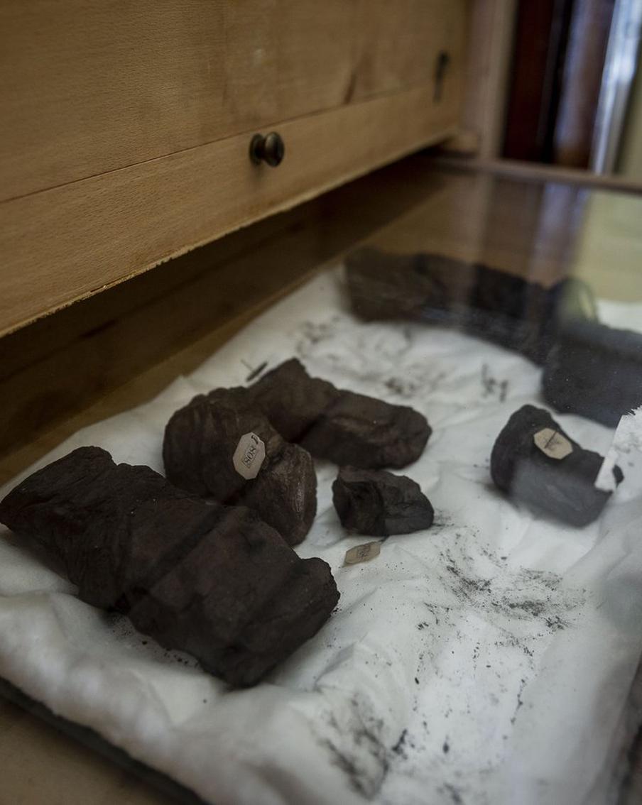 Стало известно, как умирал философ Платон и где он был похоронен