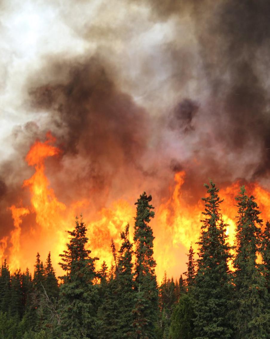 В России потушили 68 природных пожаров за сутки