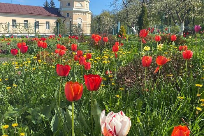 "Я провела неделю в монастыре и обрела счастье": история москвички, которая ушла из мирской жизни