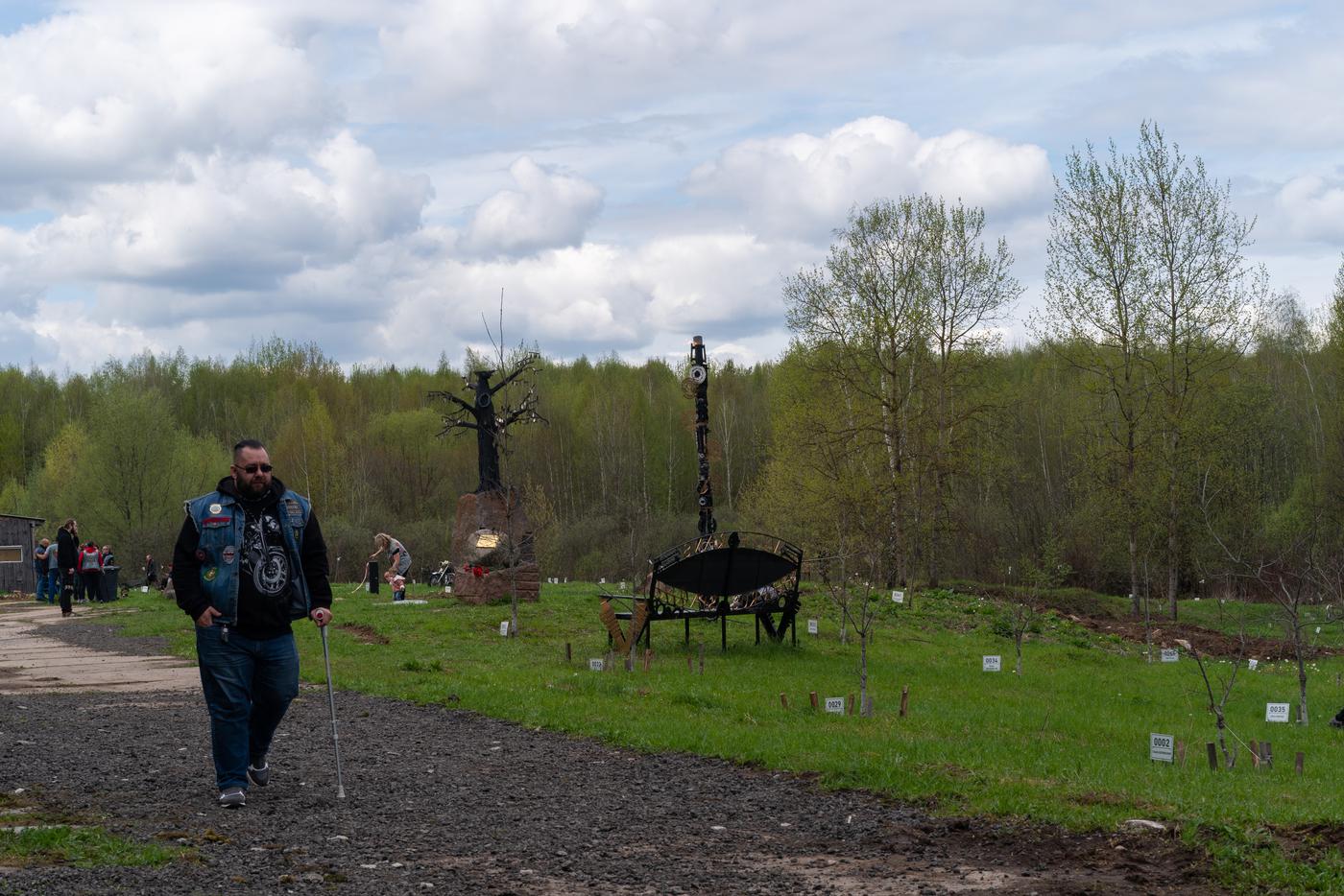 Весенняя посадка красных дубов