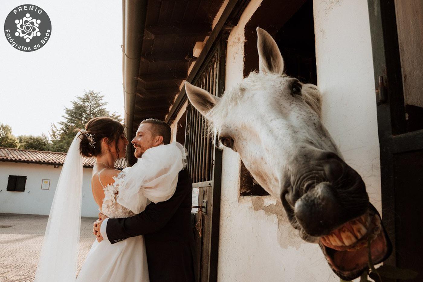 Когда даже лошадь рада за молодых.