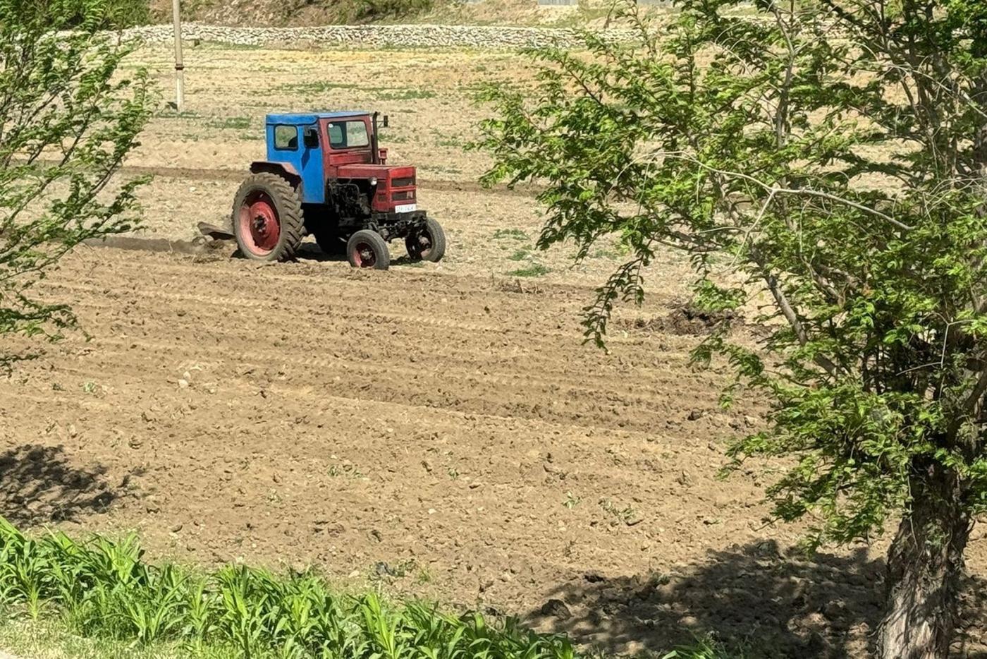 Обрабатывается каждый клочок земли.
