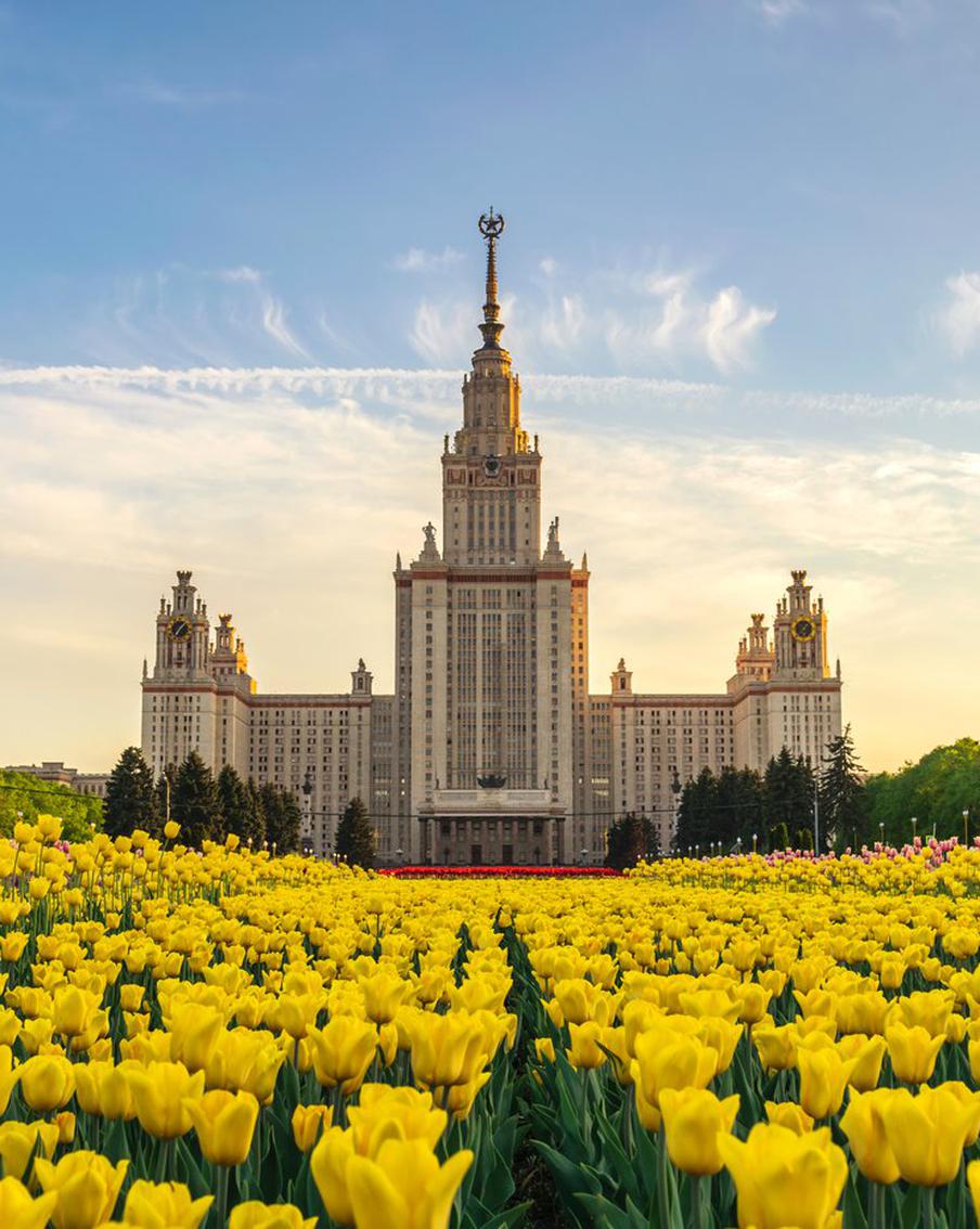 Минобрнауки: упразднение бакалавриата не обесценит полученных дипломов этой степени