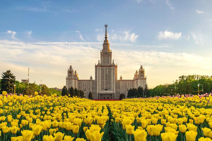 Минобрнауки: упразднение бакалавриата не обесценит полученных дипломов этой степени