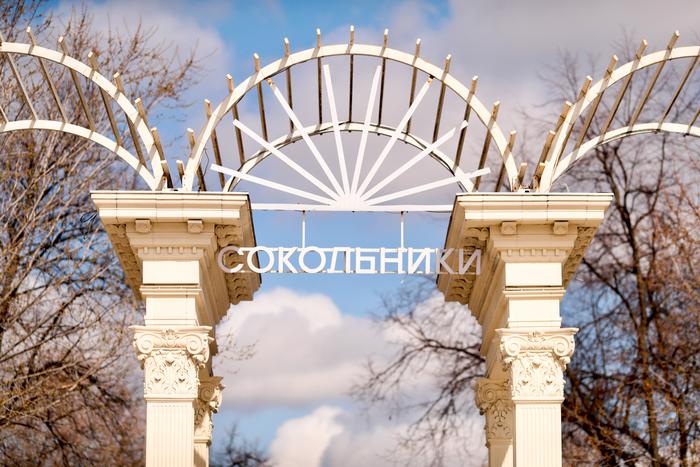 В парке "Сокольники" проведут реабилитацию Оленьих прудов