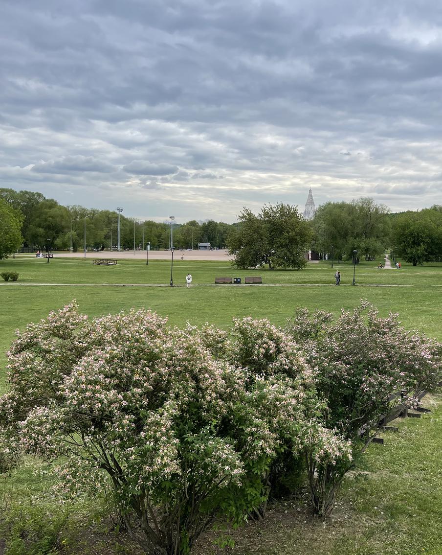 Москвичам и жителям Подмосковья расскзали о погоде в этот четверг