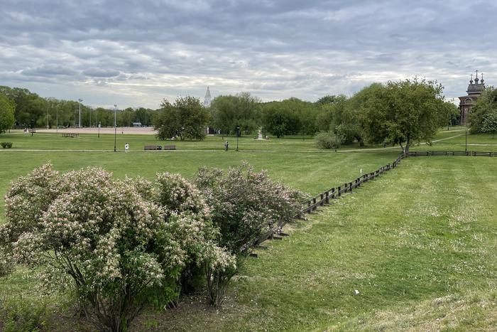 Москвичам и жителям Подмосковья расскзали о погоде в этот четверг